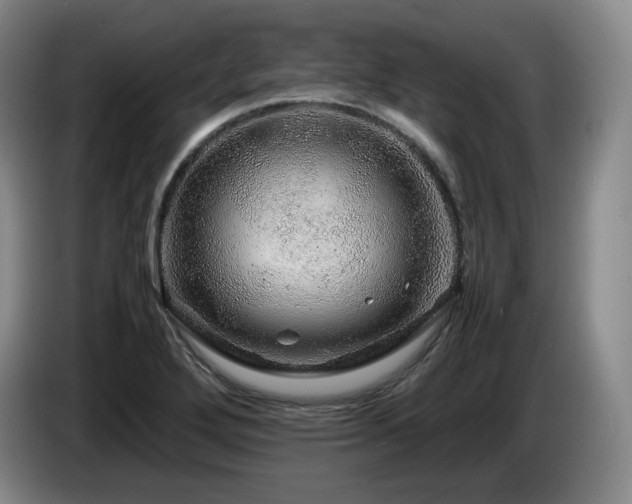X0000085291272200703091402