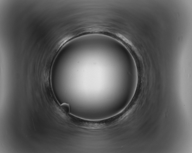 X0000085291273200703091402
