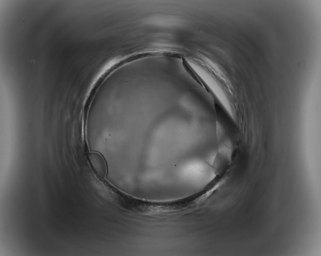X0000085291275200703091402