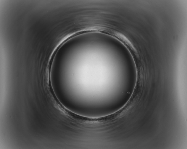 X0000085291276200703091402