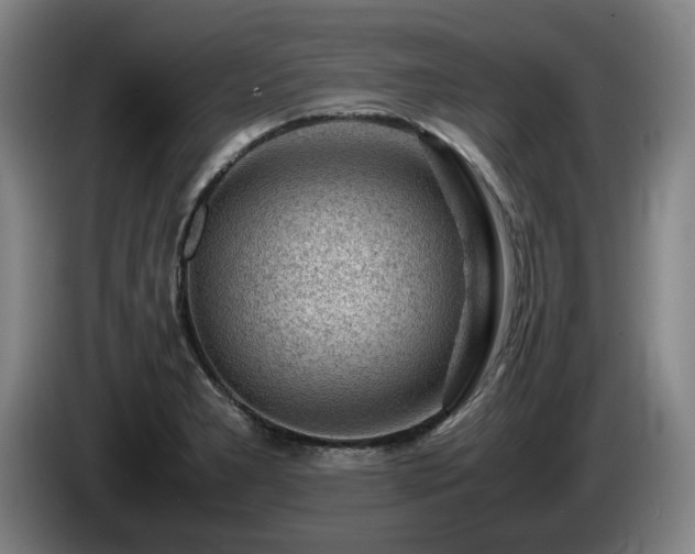 X0000085291277200703091402