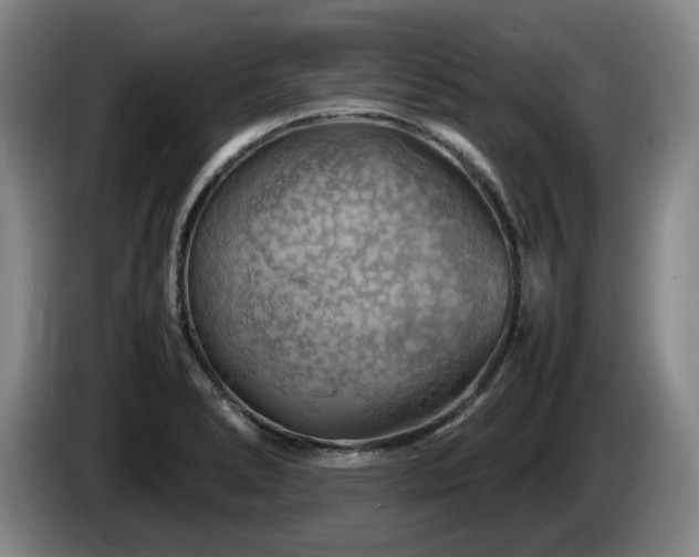 X0000085291278200703091402