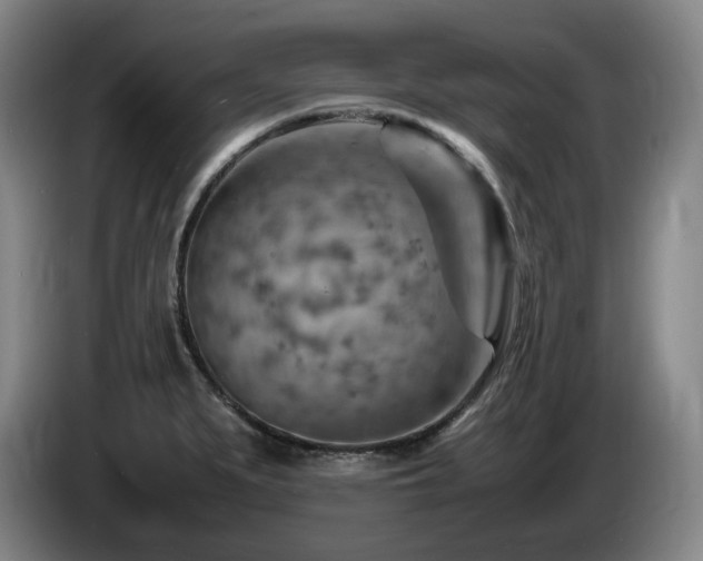X0000085291279200703091402