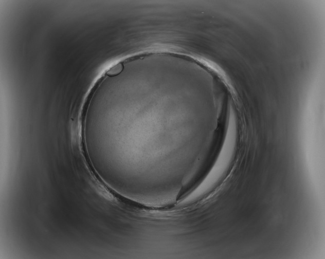 X0000085291280200703091402