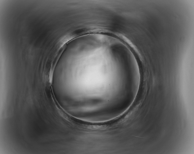 X0000085291281200703091402