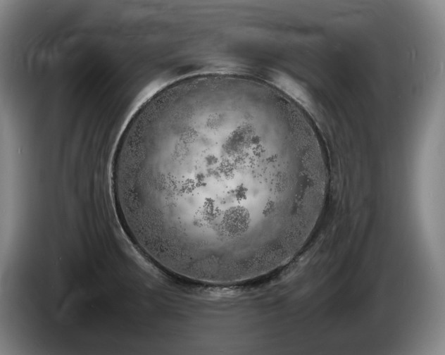 X0000085291283200703091402