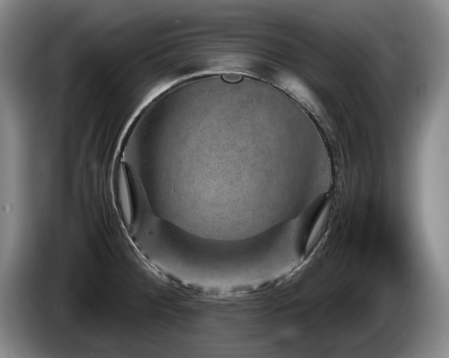 X0000085291284200703091402