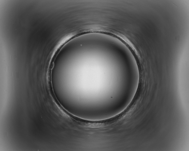 X0000085291285200703091402