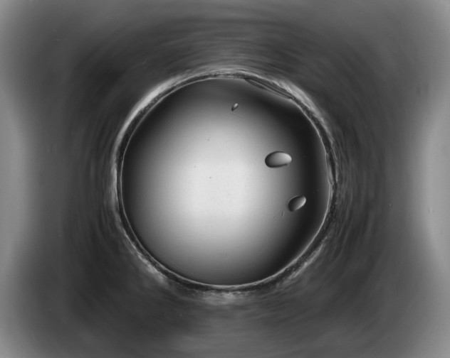 X0000085291286200703091402