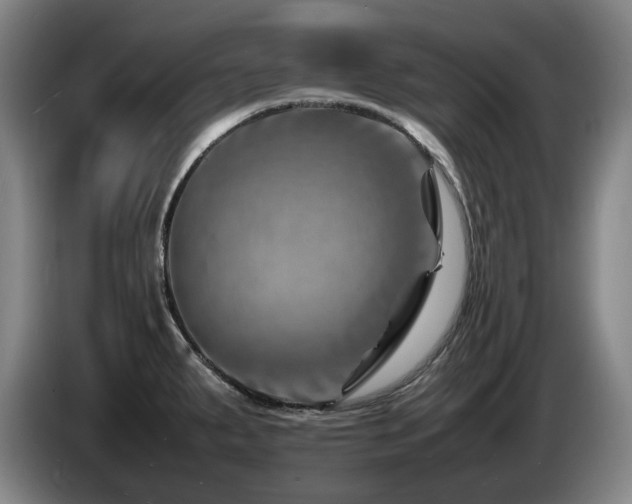 X0000085291287200703091402