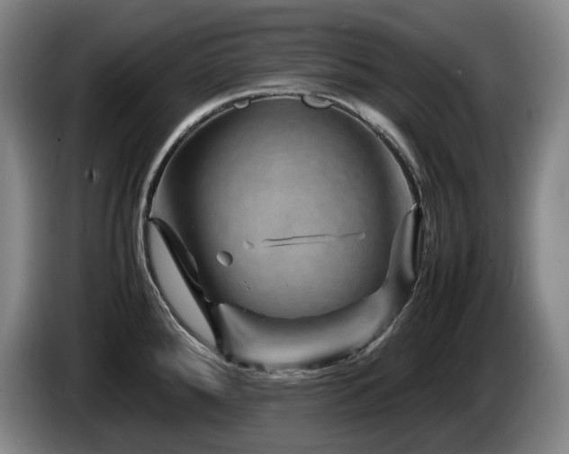 X0000085291288200703091402