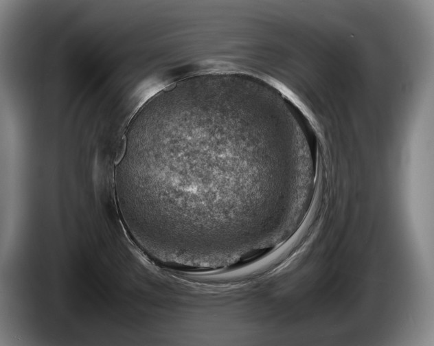 X0000085291289200703091402
