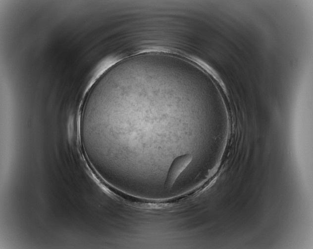 X0000085291290200703091402