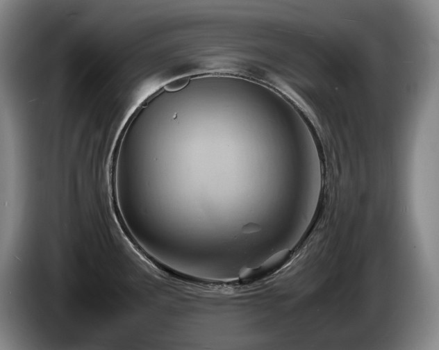 X0000085291291200703091402