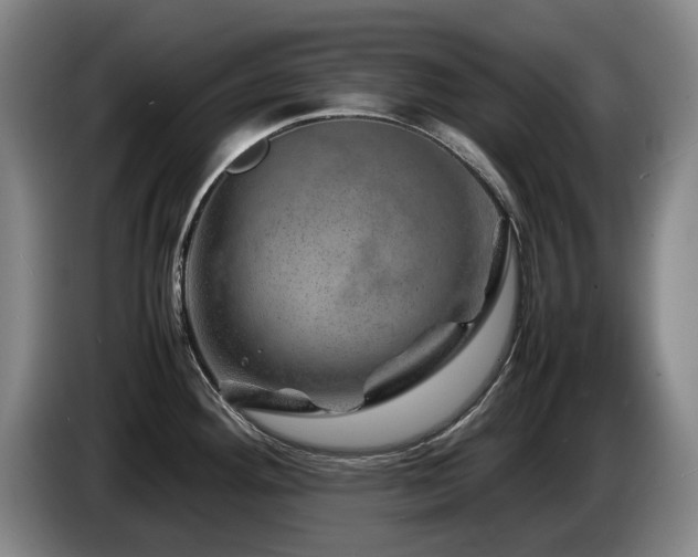 X0000085291292200703091402