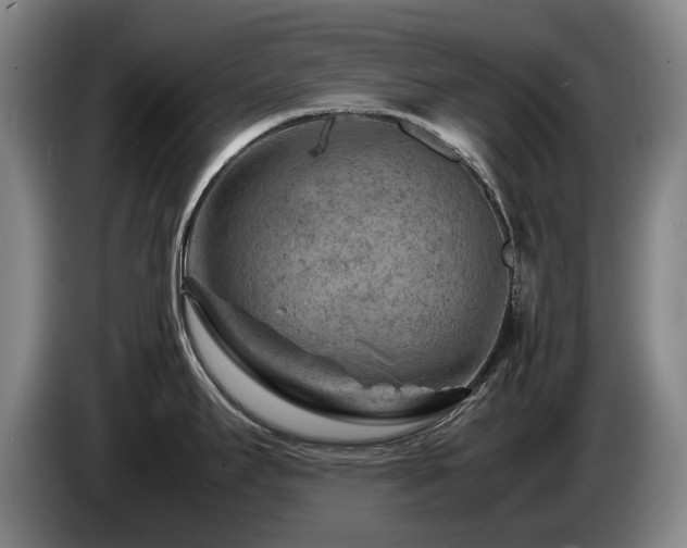X0000085291295200703091402