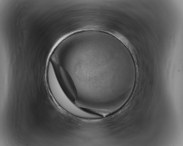 X0000085291296200703091402