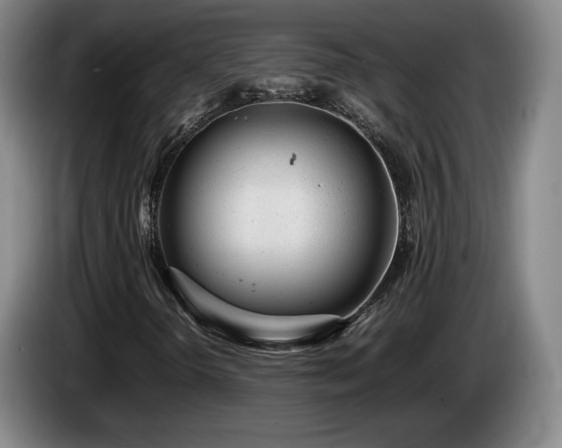 X0000085291298200703091401