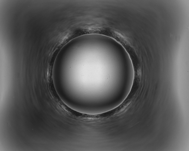 X0000085291300200703091401
