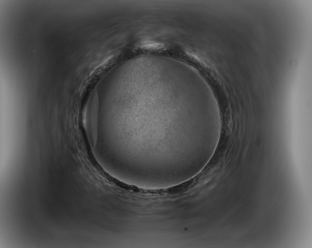 X0000085291301200703091401