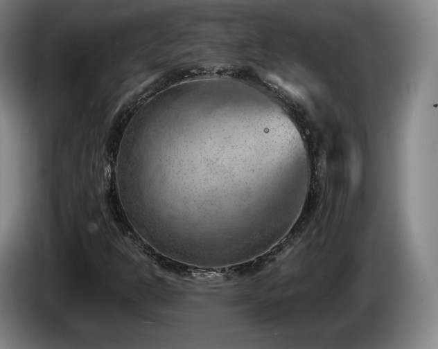 X0000085291302200703091401