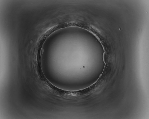 X0000085291303200703091401