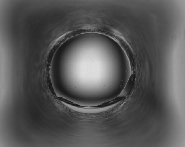 X0000085291304200703091401