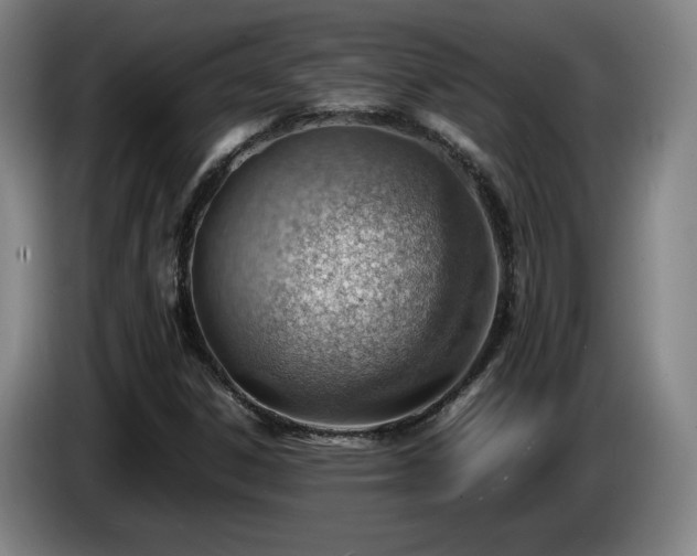 X0000085291306200703091401