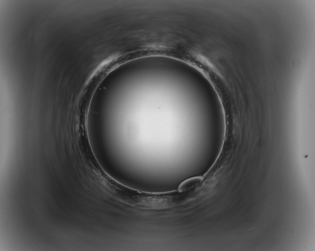 X0000085291307200703091401