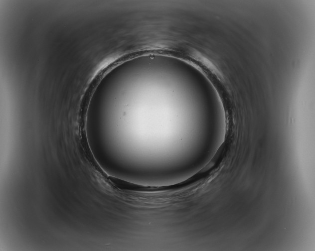 X0000085291308200703091401