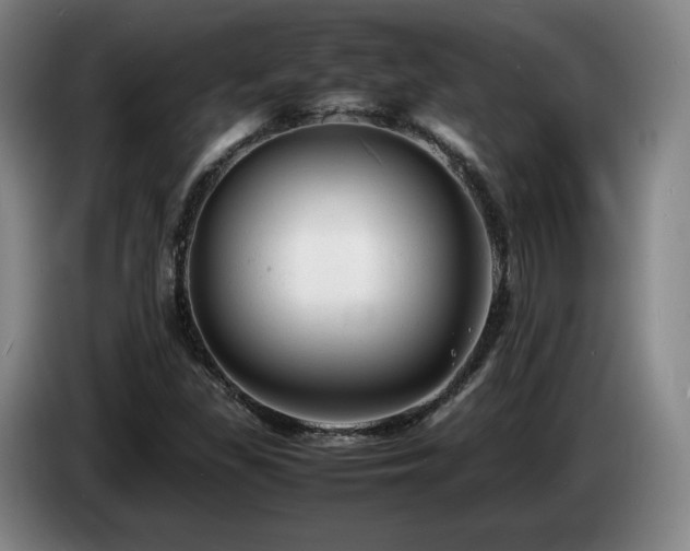 X0000085291309200703091401