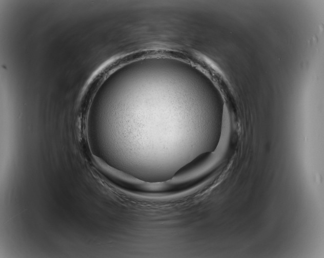X0000085291310200703091401