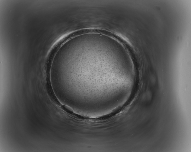 X0000085291311200703091401