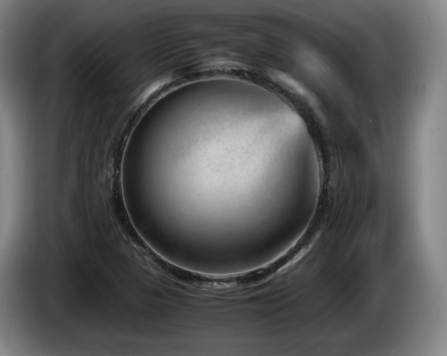 X0000085291313200703091401