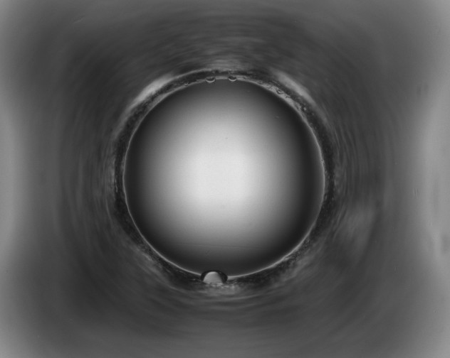 X0000085291315200703091401