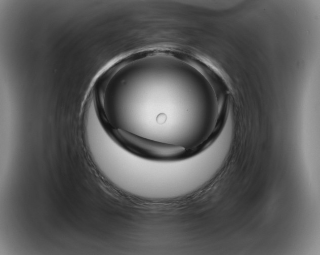 X0000085291316200703091401