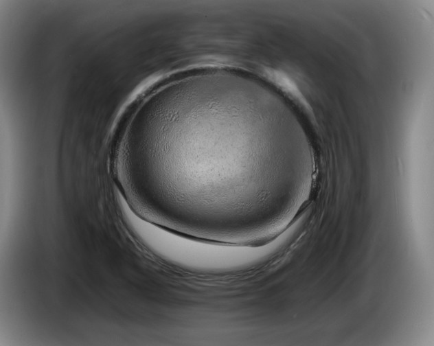 X0000085291318200703091401