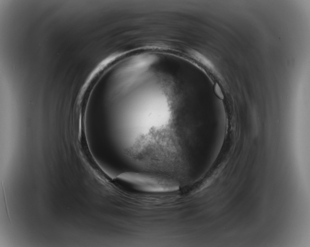 X0000085291323200703091401