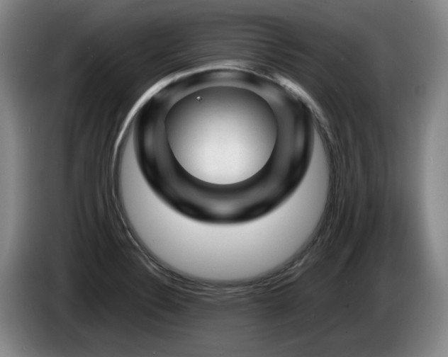 X0000085291324200703091401