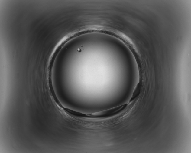 X0000085291326200703091402