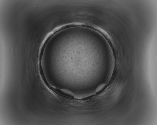 X0000085291327200703091402