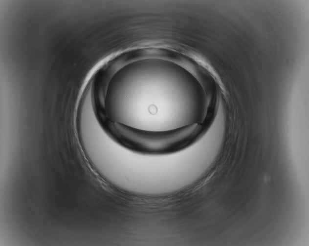 X0000085291328200703091402