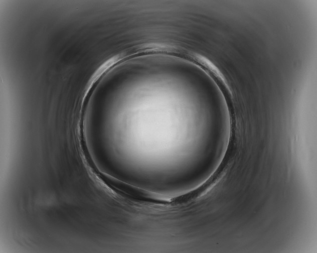 X0000085291330200703091402