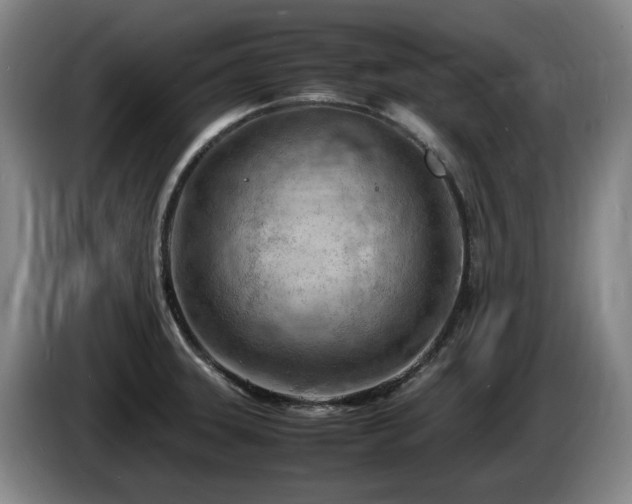 X0000085291331200703091402