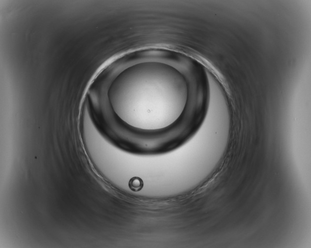 X0000085291332200703091402