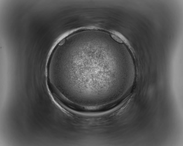 X0000085291335200703091402