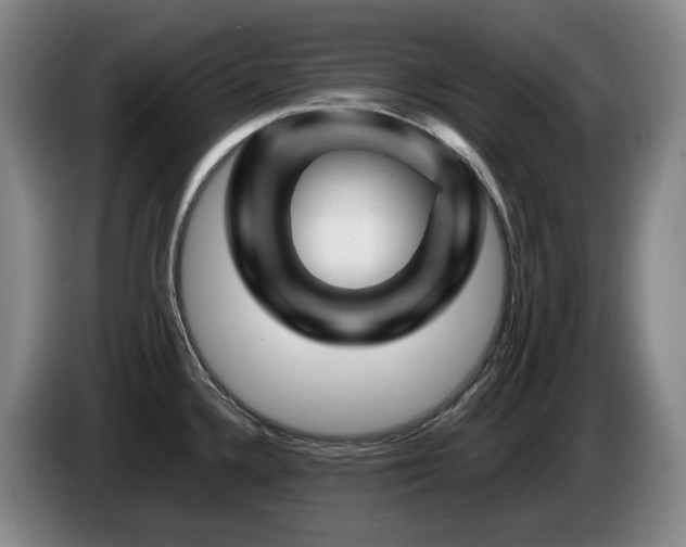 X0000085291336200703091402