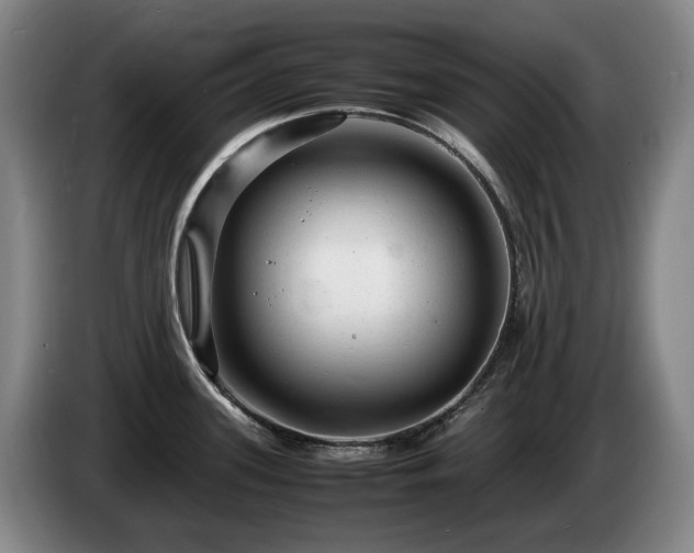 X0000085291339200703091402