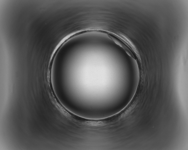 X0000085291340200703091402