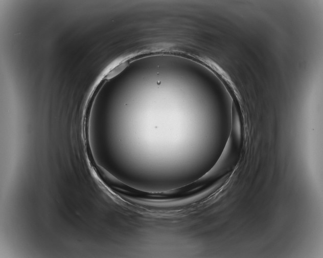 X0000085291342200703091402